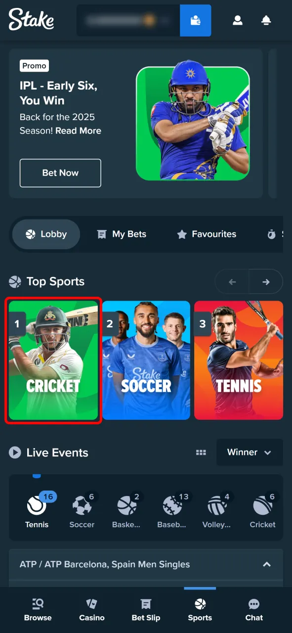 Choose your preferred sport from the list available on Stake.