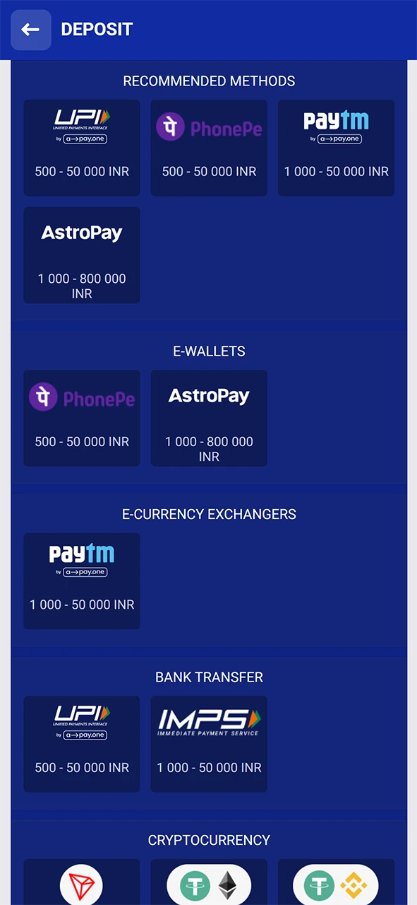 Choose the deposit method that suits you at SapphireBet.