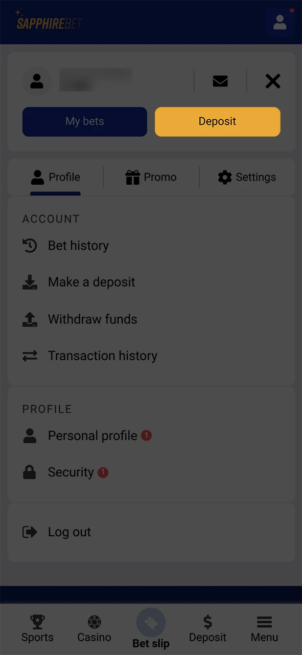 Go to the funds deposit section on SapphireBet.
