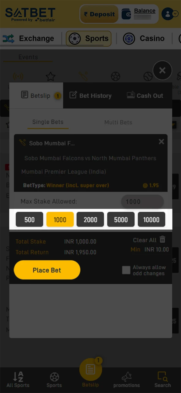 Enter the amount and place your bet in the Satbet app.